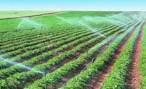 五月天影院黑人农田高 效节水灌溉